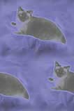 rasha background tile
